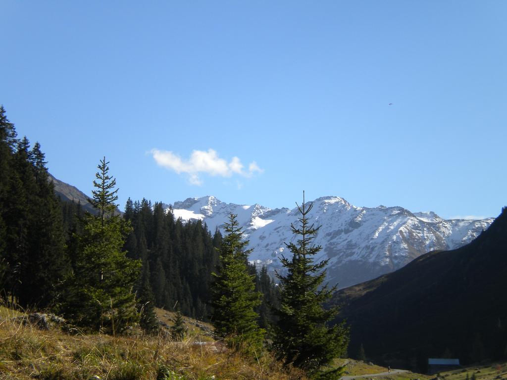 Shima-davos Frühstückspension